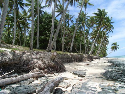 海岸浸食のすすむマーシャル諸島マジュロ環礁　(2008年3月、筆者撮影)