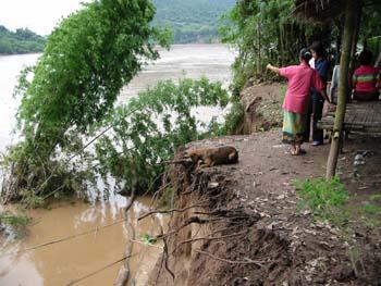 PHOTO - Erosion along the Mekong River