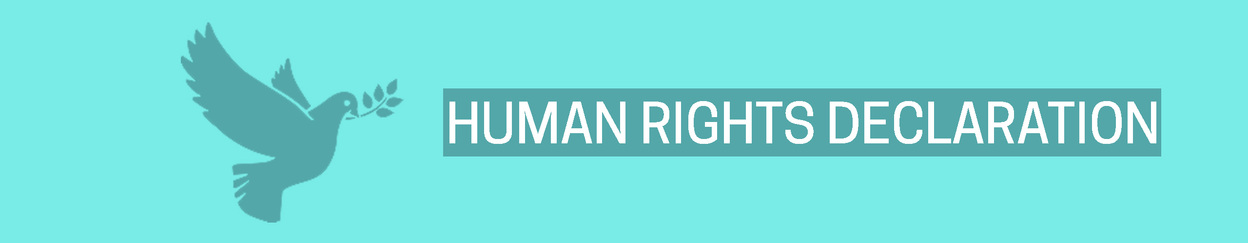 HUMAN RIGHTS DECLARATIONS