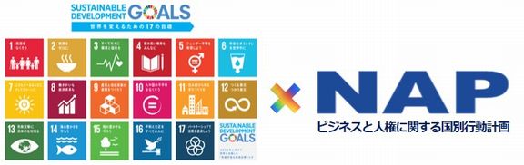 SDGsとNAPの画像